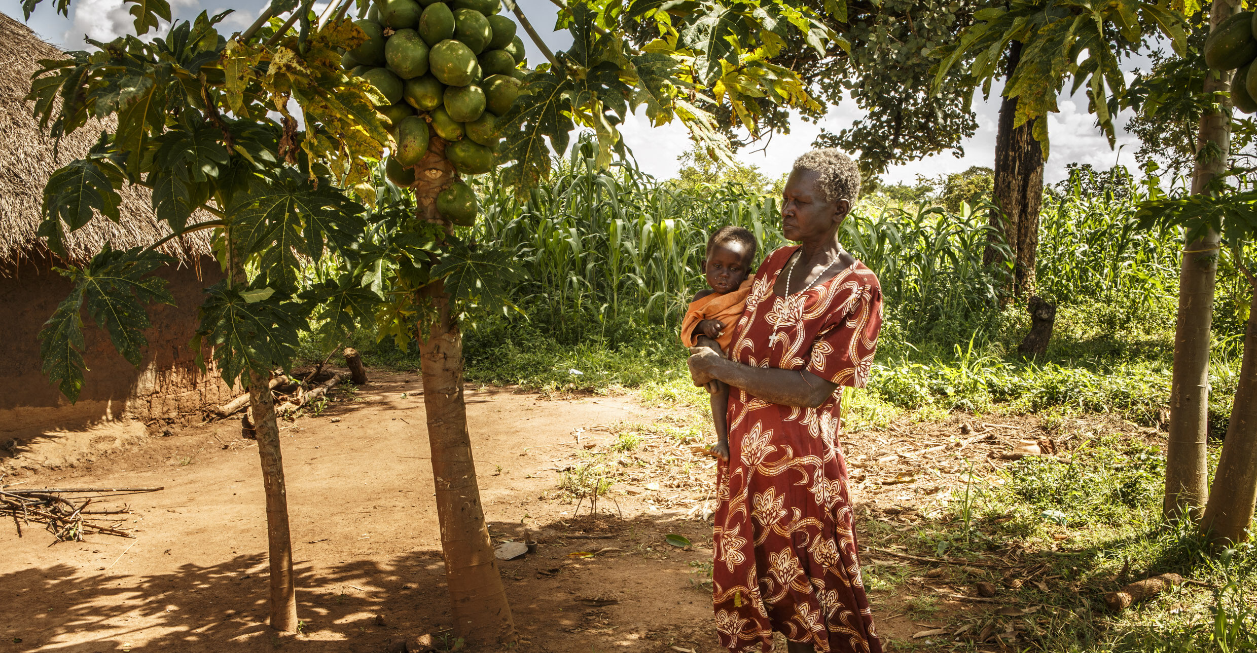 Sustainable Livelihoods