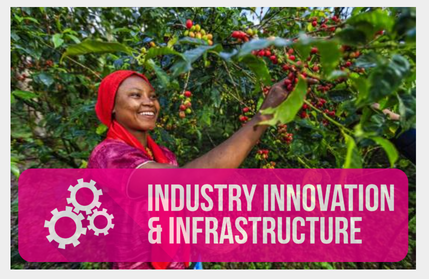 SDG 9: Industry, Innovation, and Infrastructure
