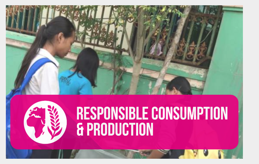 SDG 12: Responsible Consumption and Production