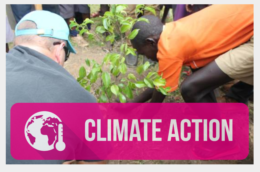 SDG 13: Climate Action