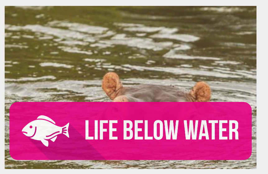SDG 14: Life Below Water