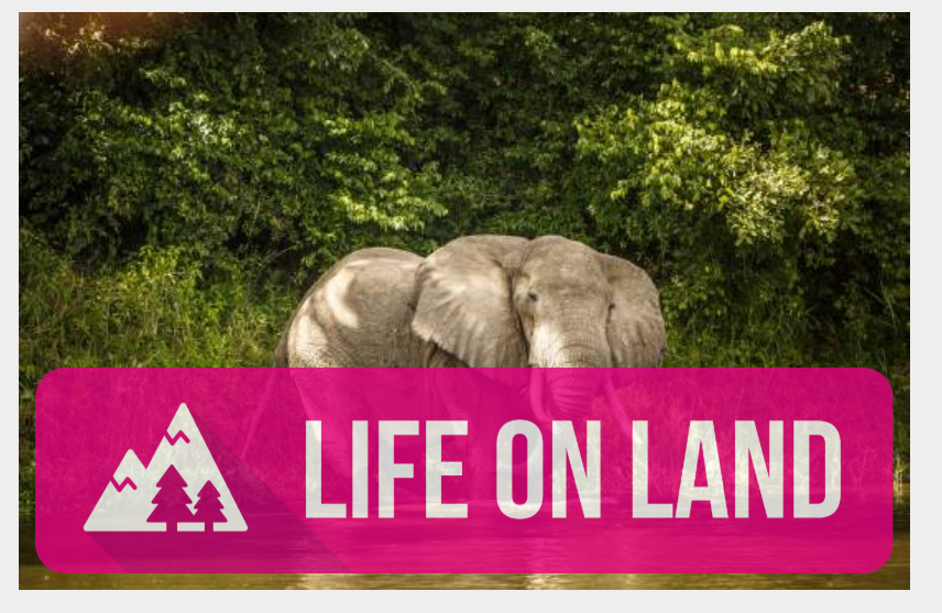SDG 15: Life on Land